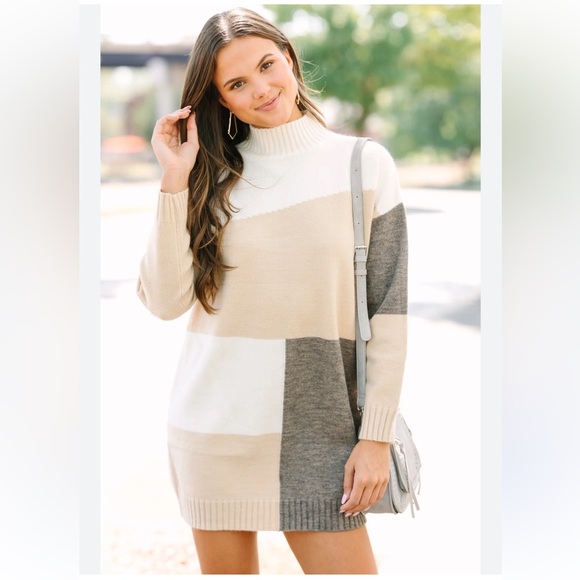 Shop The Mint Dresses & Skirts - Colorblock Turtleneck Sweater Dress